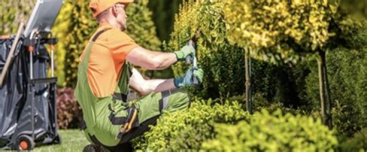 Are landscaping businesses profitable?