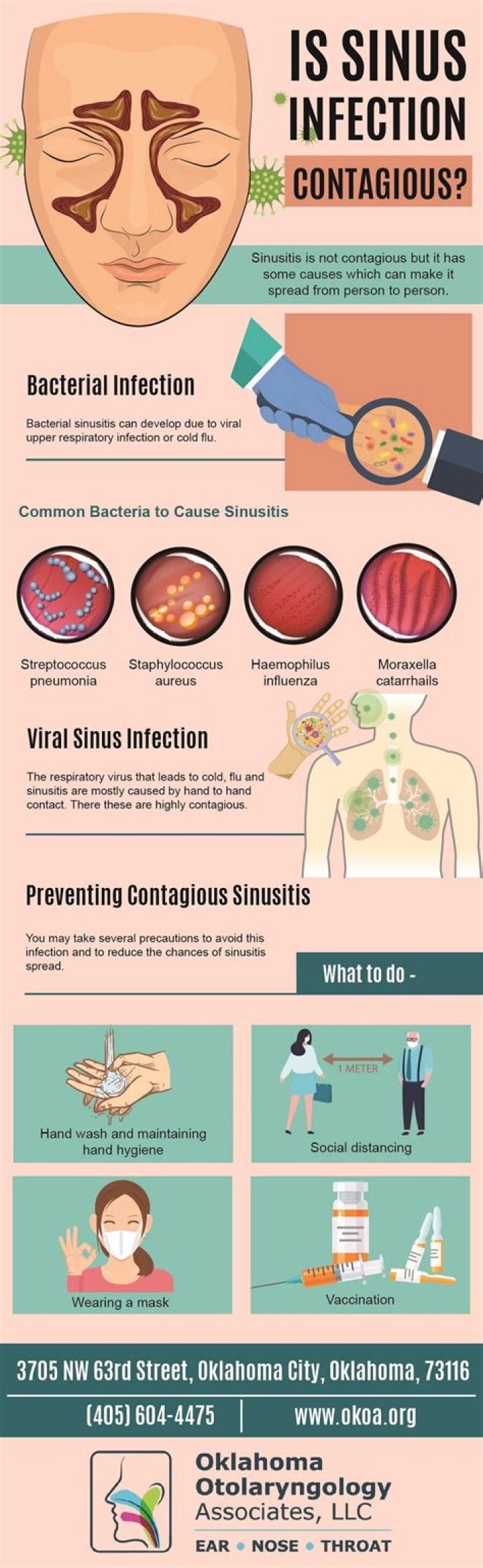 Are sinus infections viral?