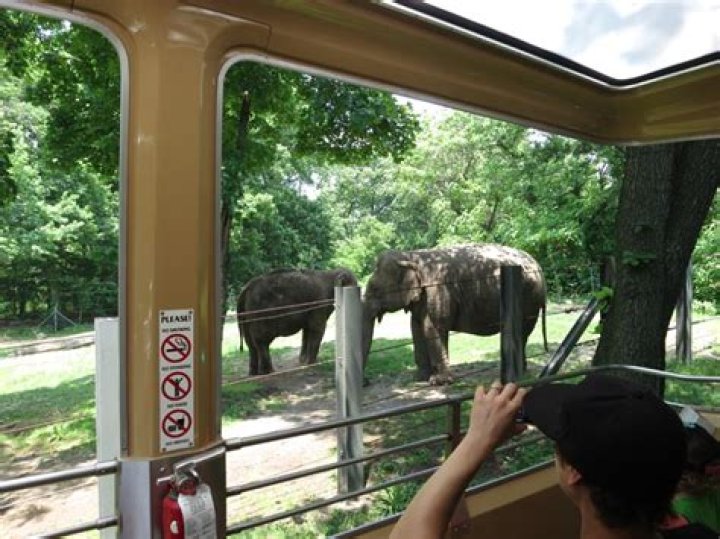 Does bronx zoo have wheelchairs?