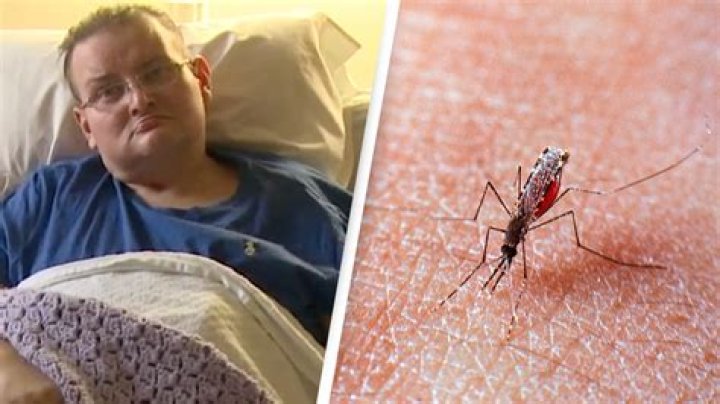 Has anyone died from mosquito?