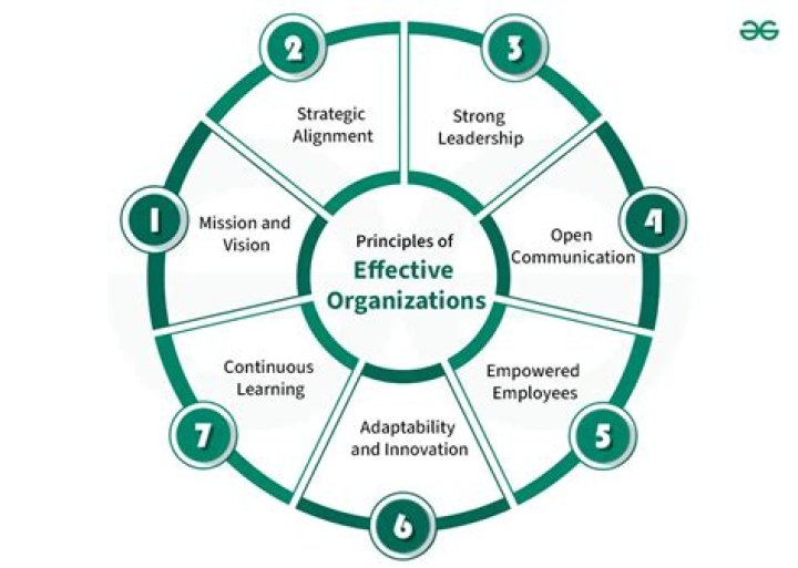 How to improve organizational efficiency and effectiveness?