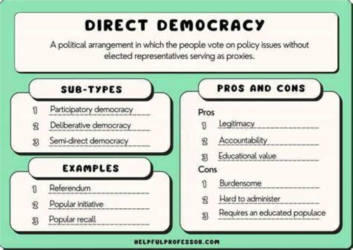 In a democracy elected representatives are answerable to?