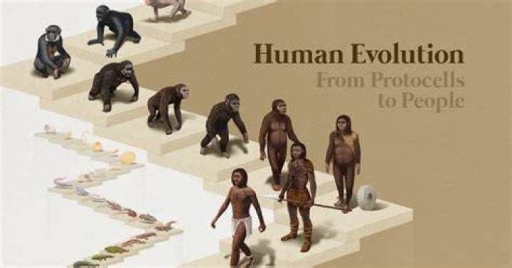 In metamorphoses who created humans?