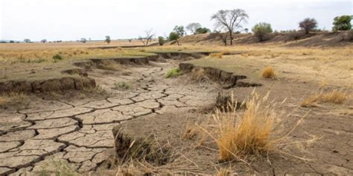 Is caused due to overgrazing?