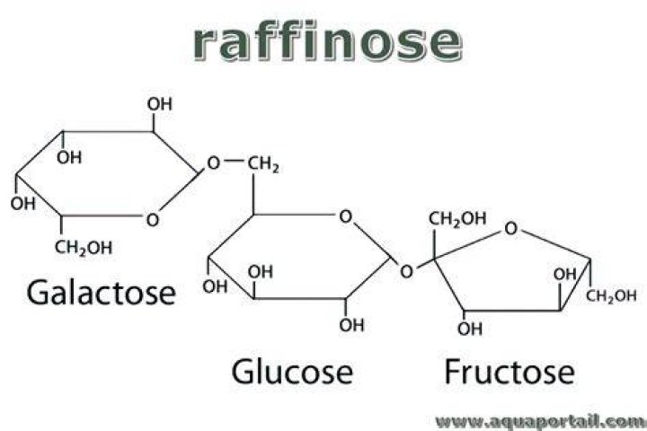 Is raffinose a ketose?