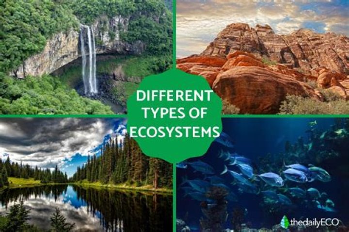 What are six characteristics shared by all ecosystems?