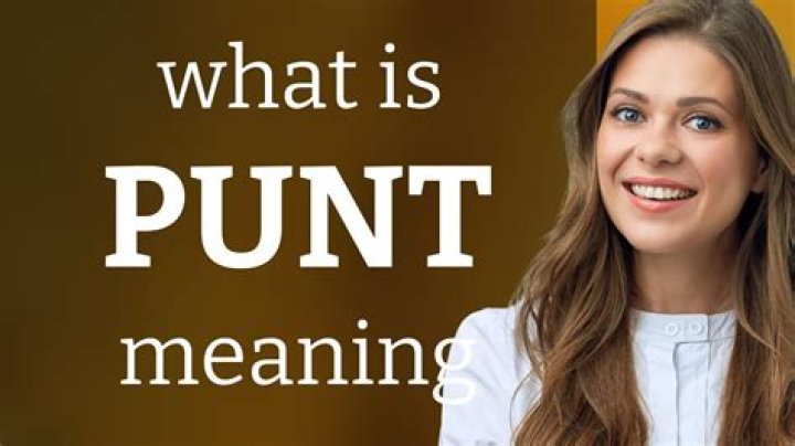 What does punted mean in slang?