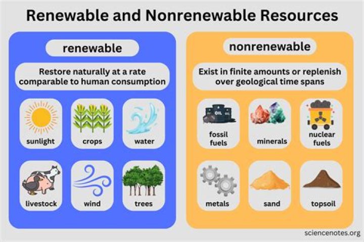 What does the word non reusable mean?