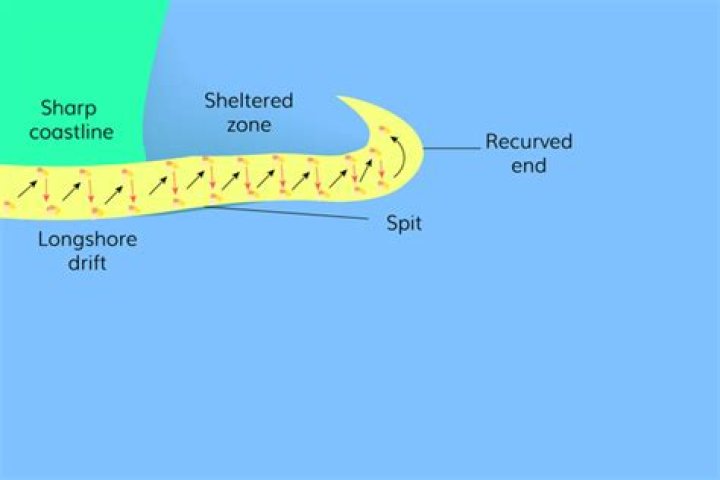 What is a recurved spit?