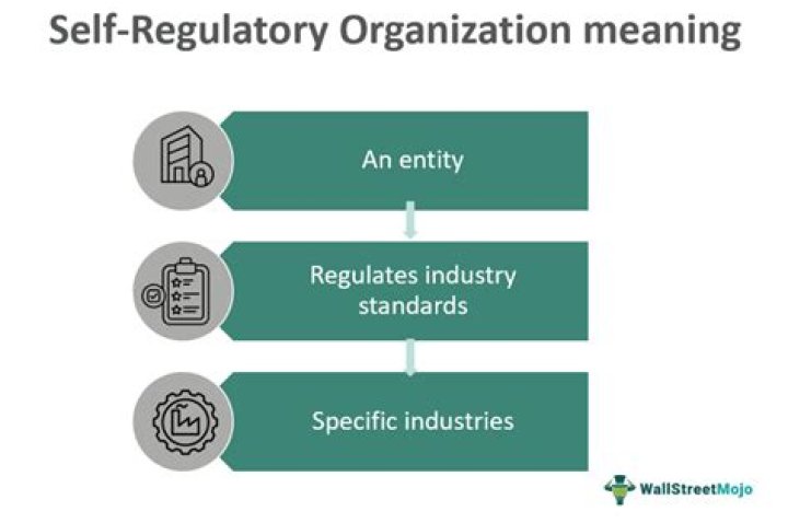 What is a self regulatory authority?