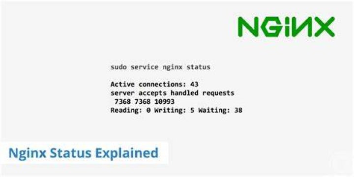 What is stub status in nginx?