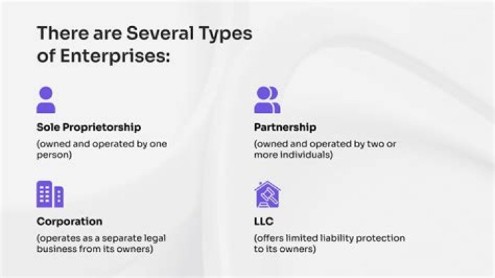 When is a business an enterprise?