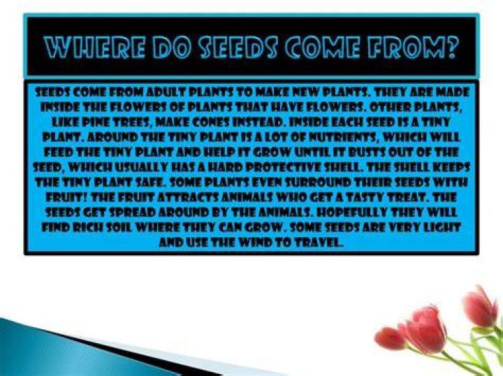 Where do seeds come from?