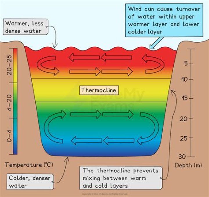 Which is denser air or water?