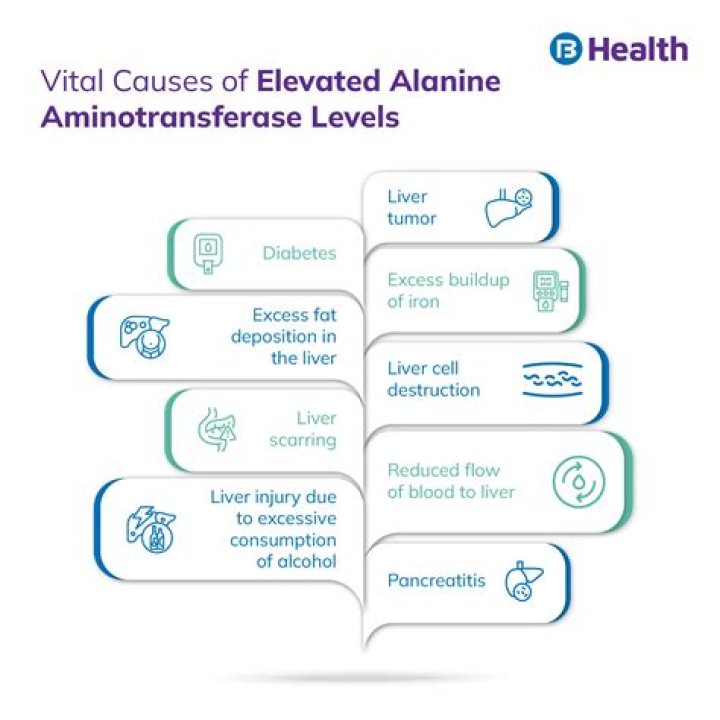 Why alanine aminotransferase high?