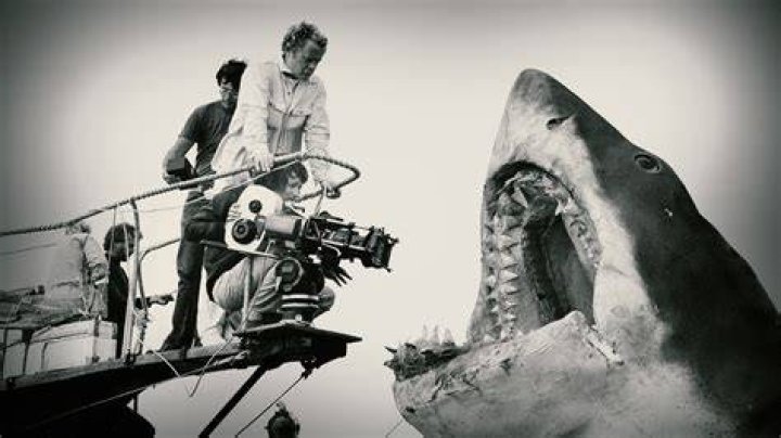 Why is spielberg so popular?